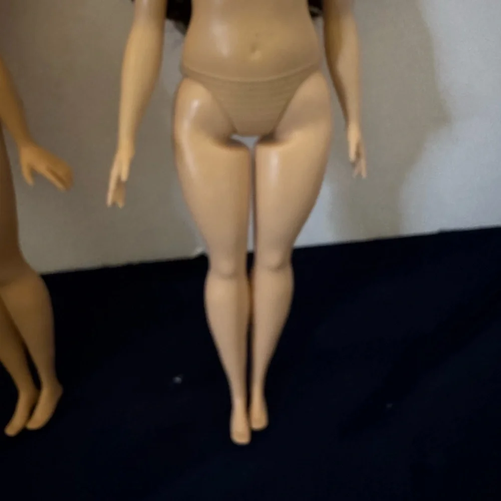 Two Barbie Curvy Fashionistas Dolls 2015 Bundle and Save Fast Shipping - Picture 3 of 5